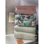 testing insert from shogy